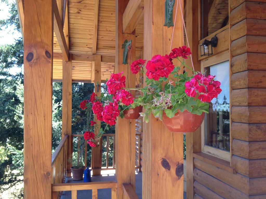 Hosteria Baerenhaus San Martin de los Andes Luaran gambar