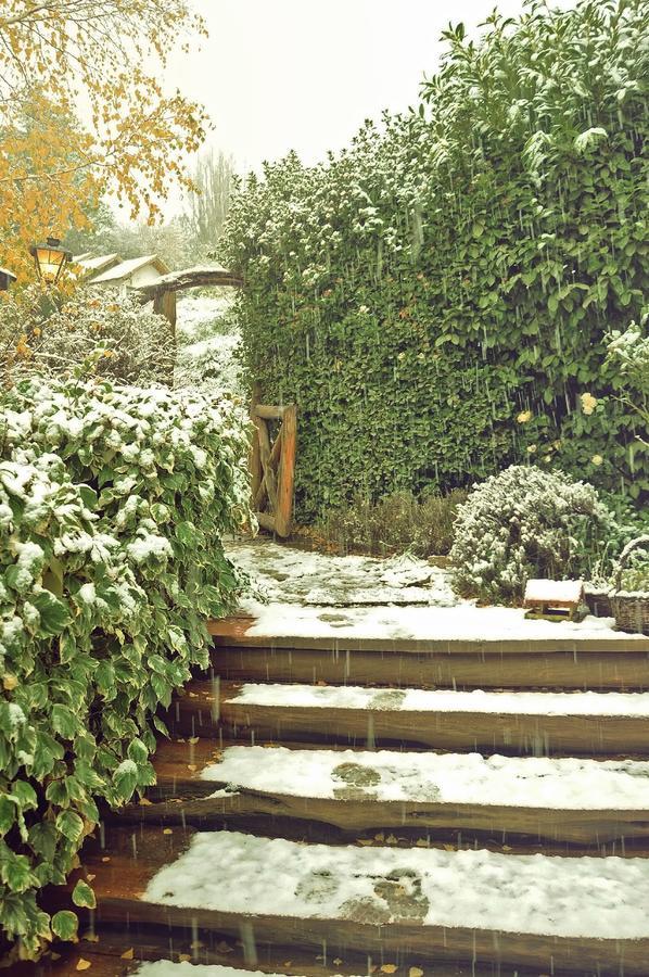 Hosteria Baerenhaus San Martin de los Andes Luaran gambar
